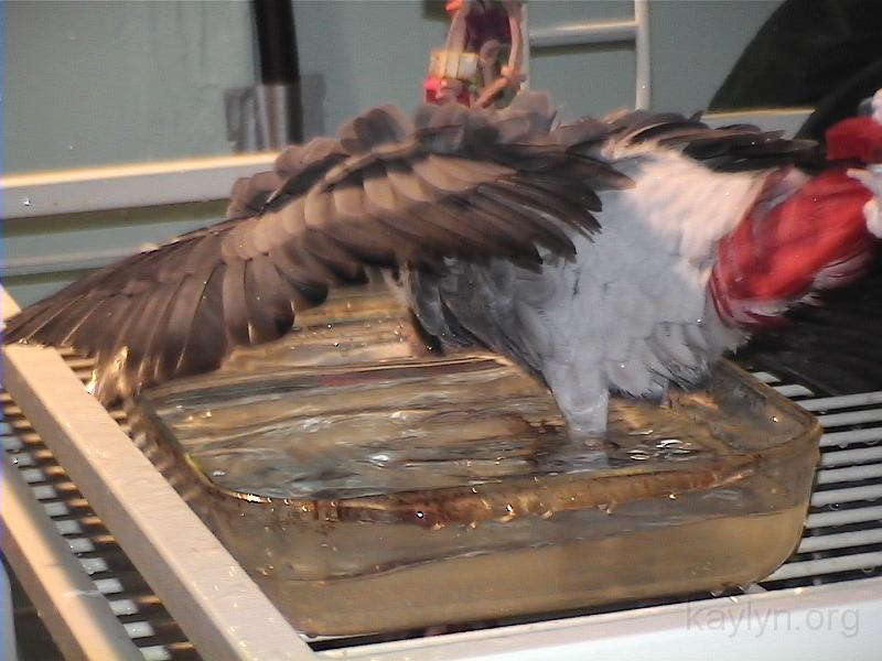 DVC00611.JPG