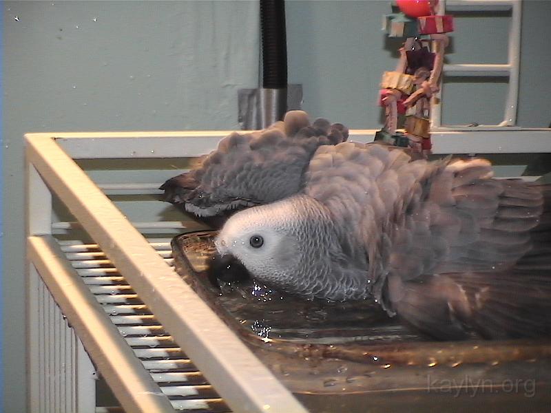 DVC00628.JPG