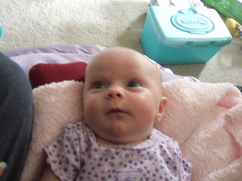 DSCF2363.JPG