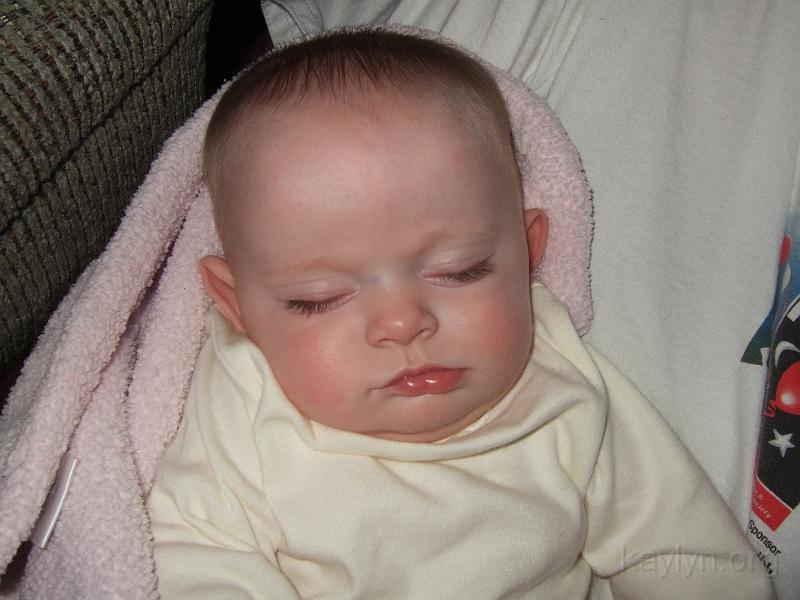 DSCF2422.JPG