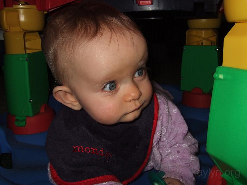 DSCF2592.JPG