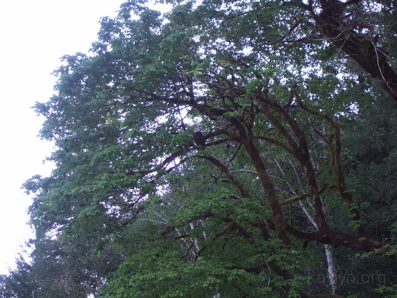 DSCF3008.JPG